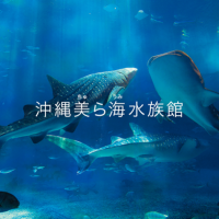 Okinawa Churaumi Aquarium