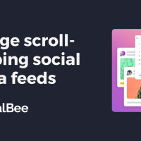 SocialBee