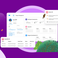 Salesforce Nonprofit Success Pack