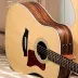 Taylor 210ce
