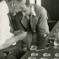 The Gene: An Intimate History