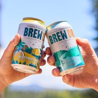 Townshend's Tea Kombucha