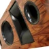 Volti Audio Rival