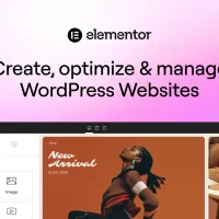 WordPress + Elementor