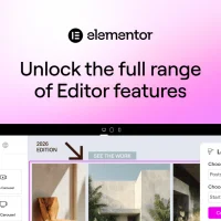 WordPress + Elementor Pro