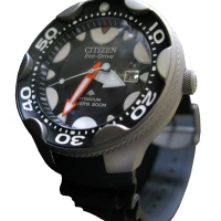 Citizen Eco-Drive Titanium Watch
