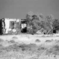 Ilford SFX 200