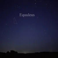 Equuleus