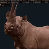 3DCoat