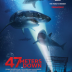 47 Meters Down (2017 Film)