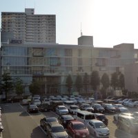 Asics GEL-Cumulus™ 24