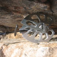 Black Diamond Camalot C4 Carabiner