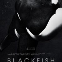 Blackfish