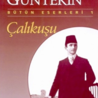 Çalıkuşu