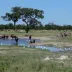 Chobe National Park