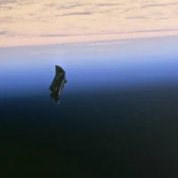 Cosmic Debris