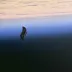 Cosmic Debris