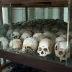 Cambodian Revolution