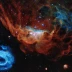 Cosmic Reef
