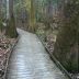 Congaree National Park