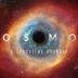 Cosmos: A Spacetime Odyssey