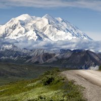 Denali National Park