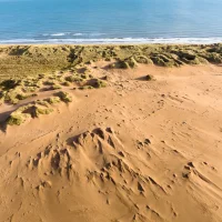 Forvie National Nature Reserve