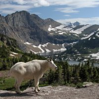 Glacier National Park