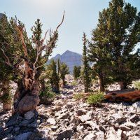 Great Basin National Park