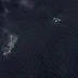 Hunga Tonga