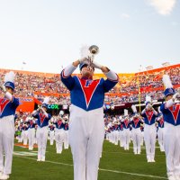 HostGator Secure WordPress Hosting