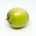 Indian Jujube / Ber (Ziziphus mauritiana)