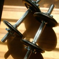 Ironmaster Quick-Lock Adjustable Dumbbells