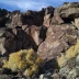 Lagomarsino Petroglyph Site