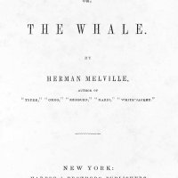 Moby Dick by Herman Melville