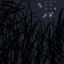 Nijigahara Holograph