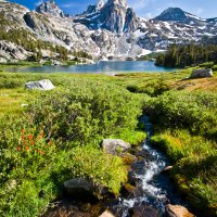 Sequoia & Kings Canyon National Parks