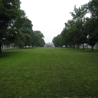 Suburban Lawns - Suburban Lawns