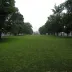 Suburban Lawns - Suburban Lawns