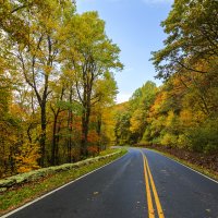 Shenandoah National Park