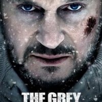 The Grey (2011)