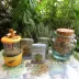 The Spice House Herbes de Provence