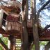 Treehouse