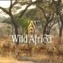 Wild Africa