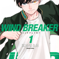 Wind Breaker