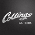 Custom Acoustic Guitar by Collings Guitars