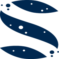 Sixline Brittle Star (Ophiocoma wendtii)