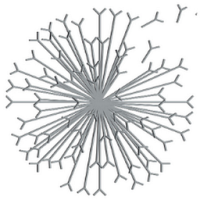 Dandelion Vineyards The Confidant GSM