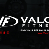 Valor Fitness CB-13 Wall Mounted Bar
