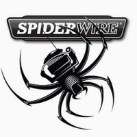 Spiderwire Wolf Casting Reel